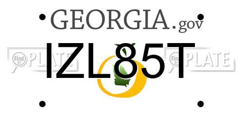 IZL85T Georgia License Plate