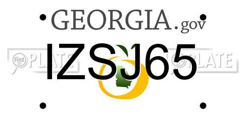 IZSJ65 Georgia License Plate