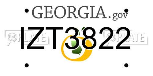 IZT3822 Georgia License Plate