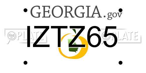 IZTZ65 Georgia License Plate