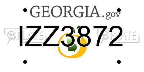 IZZ3872 Georgia License Plate