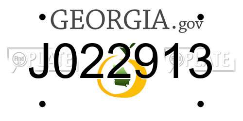 J022913 Georgia License Plate