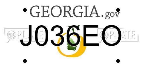 J036EO Georgia License Plate