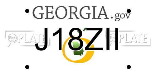 J18ZII Georgia License Plate