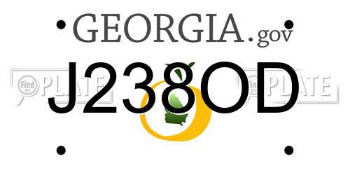 J238OD Georgia License Plate