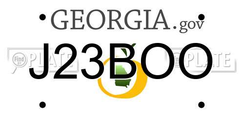 J23BOO Georgia License Plate