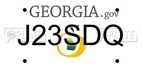 J23SDQ Georgia License Plate