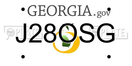 J28OSG Georgia License Plate