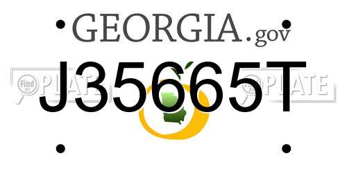 J35665T Georgia License Plate