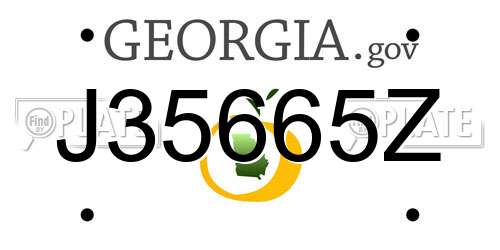 J35665Z Georgia License Plate