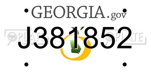 J381852 Georgia License Plate