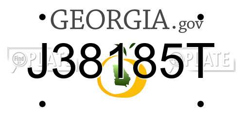 J38185T Georgia License Plate