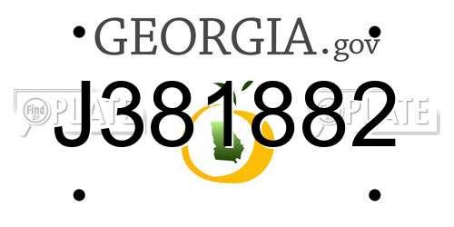 J381882 Georgia License Plate