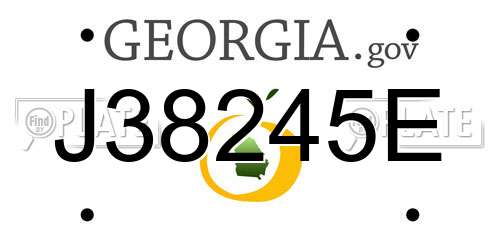 J38245E Georgia License Plate