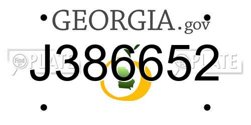 J386652 Georgia License Plate