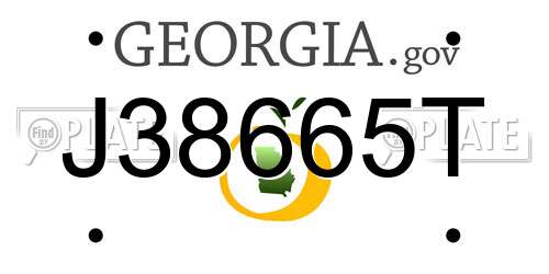 J38665T Georgia License Plate