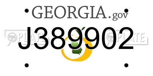 J389902 Georgia License Plate