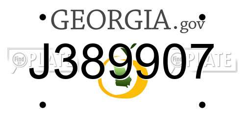 J389907 Georgia License Plate