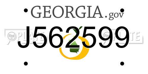 J562599 Georgia License Plate