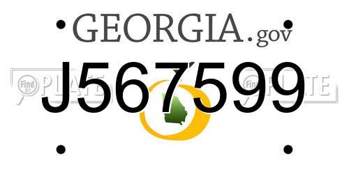 J567599 Georgia License Plate