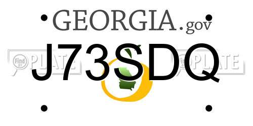 J73SDQ Georgia License Plate