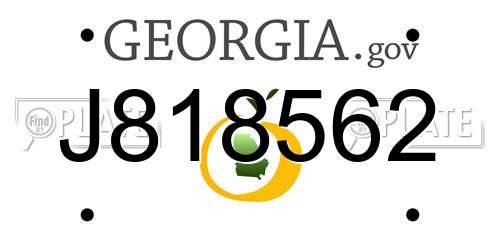 J818562 Georgia License Plate