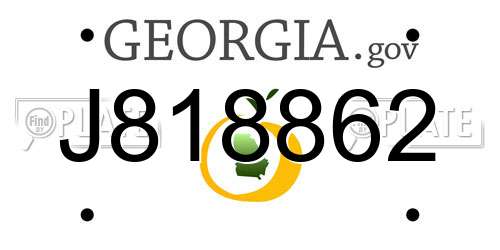 J818862 Georgia License Plate