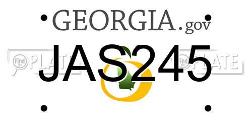 JAS245 Georgia License Plate