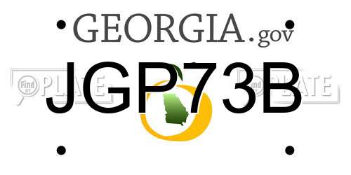 JGP73B Georgia License Plate