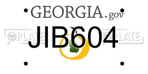 JIB604 Georgia License Plate