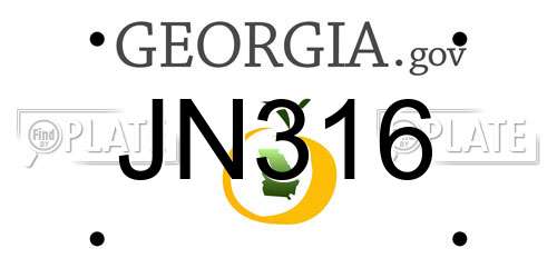 JN316 Georgia License Plate