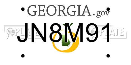 JN8M91 Georgia License Plate