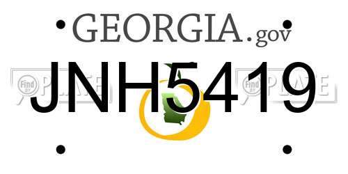 JNH5419 Georgia License Plate