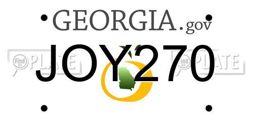 JOY270 Georgia License Plate