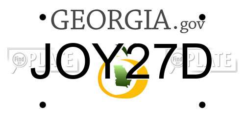 JOY27D Georgia License Plate