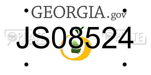 JS08524 Georgia License Plate