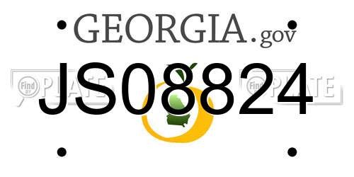 JS08824 Georgia License Plate