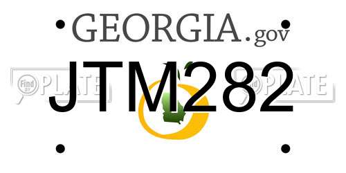 JTM282 Georgia License Plate
