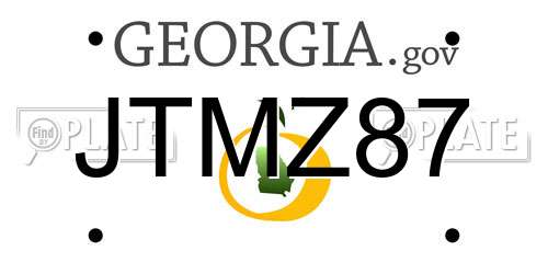 JTMZ87 Georgia License Plate