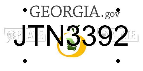 JTN3392 Georgia License Plate