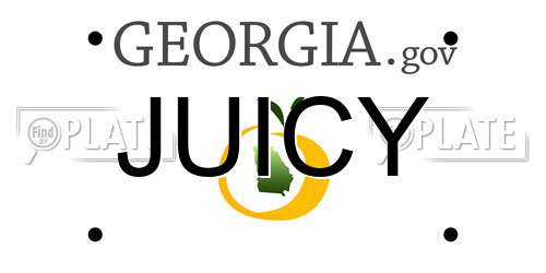 JUICY Georgia License Plate
