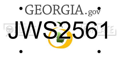 JWS2561 Georgia License Plate