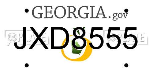 JXD8555 Georgia License Plate