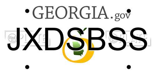 JXDSBSS Georgia License Plate