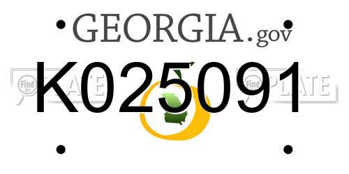 K025091 Georgia License Plate
