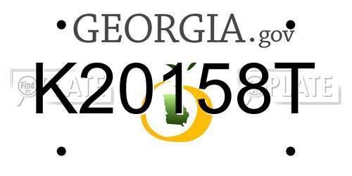 K20158T Georgia License Plate
