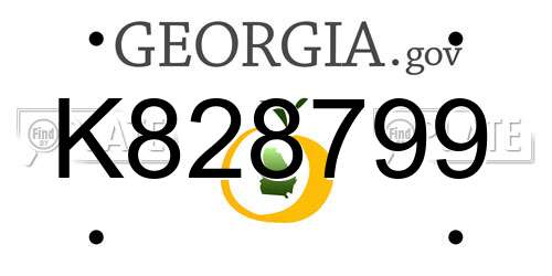 K828799 Georgia License Plate
