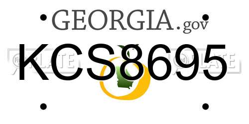 KCS8695 Georgia License Plate