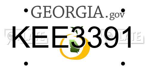 KEE3391 Georgia License Plate