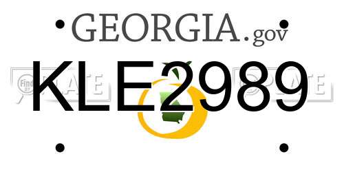 KLE2989 Georgia License Plate